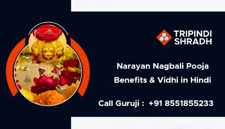 Narayan Nagbali Pooja Benefits & Vidhi in Hindi