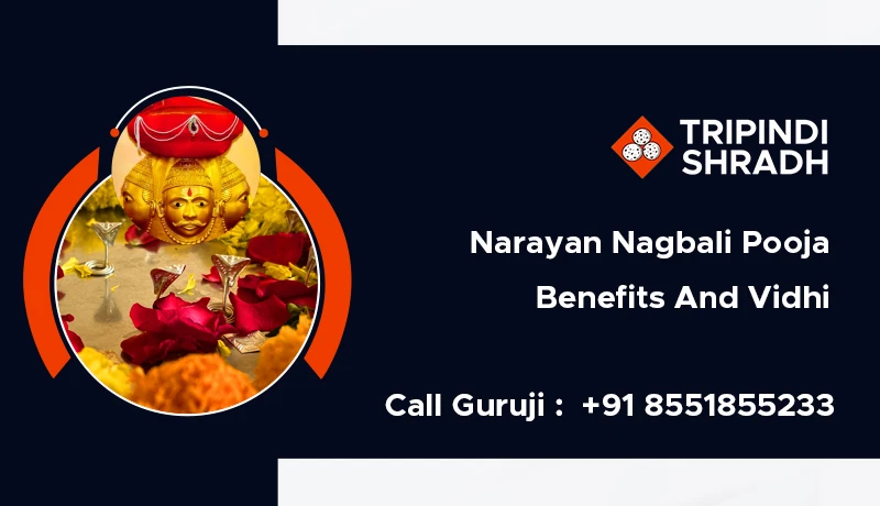 Narayan Nagbali Pooja Benefits And Vidhi