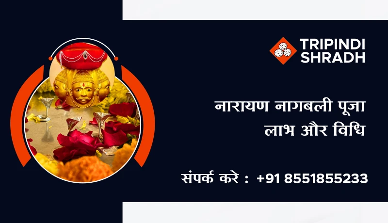 नारायण नागबली पूजा लाभ और विधि