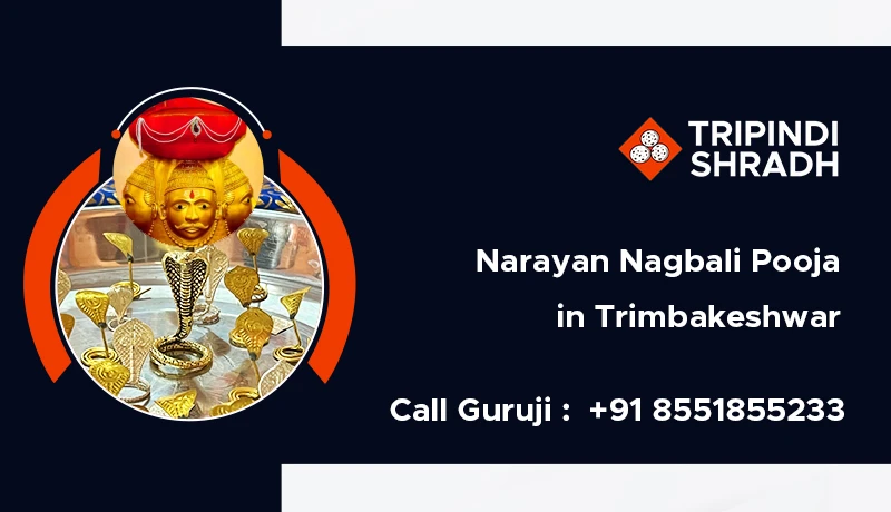 Narayan Nagbali Pooja in Trimbakeshwar