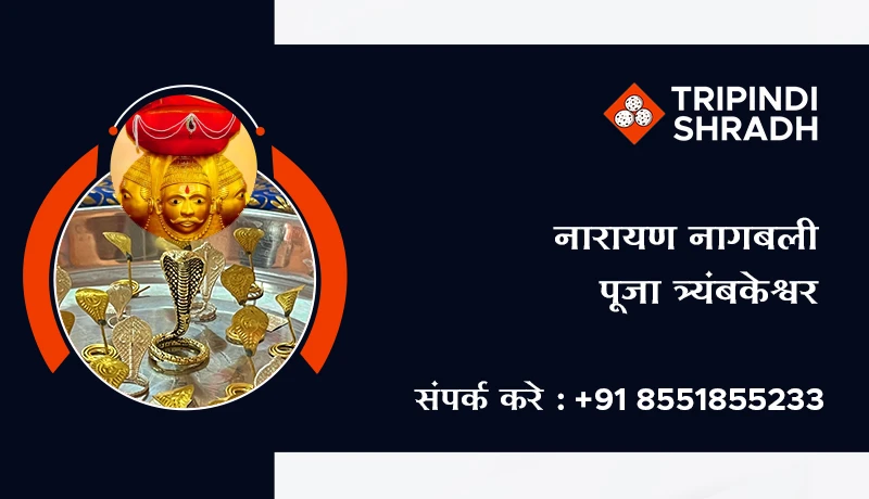 नारायण नागबली पूजा त्र्यंबकेश्वर
